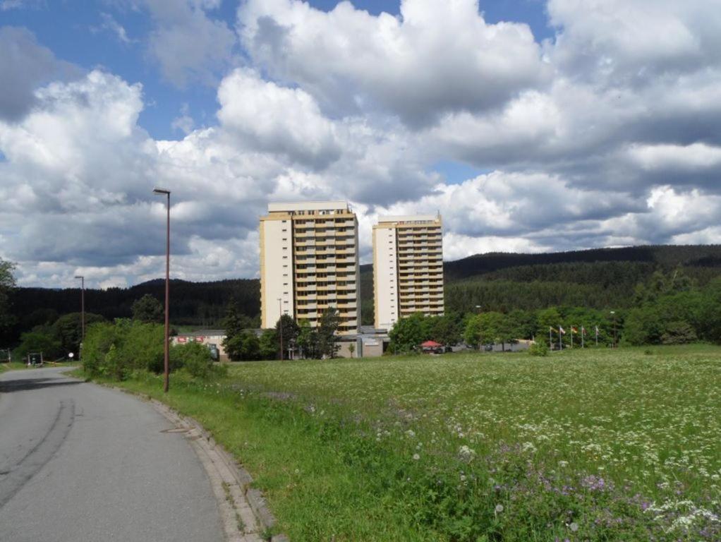 Ferienapartment Mit Schwimmbad Und Bergblick Braunlage Eksteriør billede