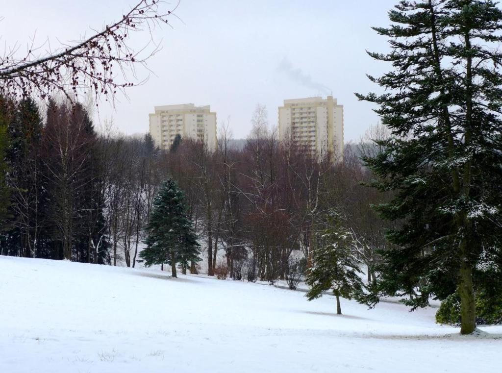 Ferienapartment Mit Schwimmbad Und Bergblick Braunlage Eksteriør billede