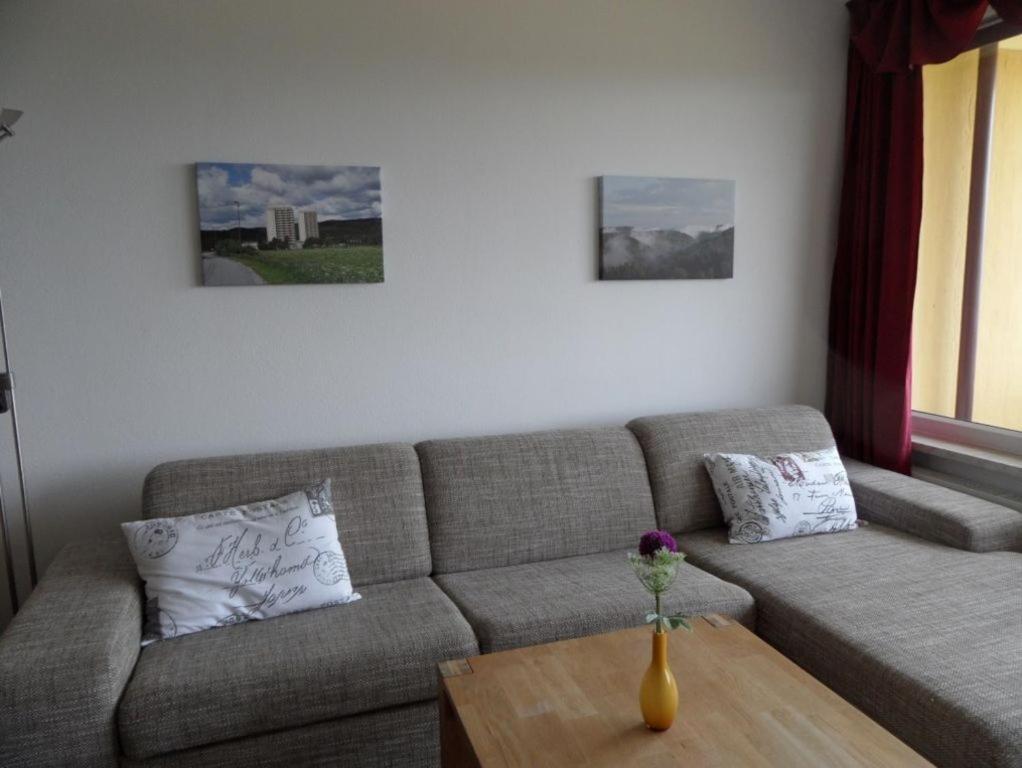 Ferienapartment Mit Schwimmbad Und Bergblick Braunlage Eksteriør billede